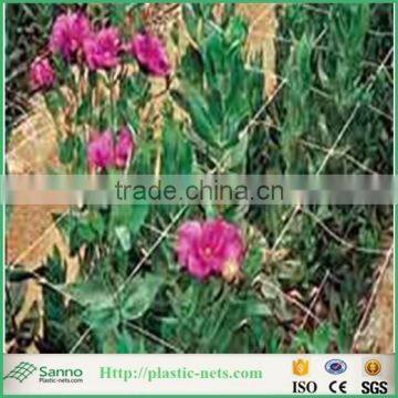 100% PP Plastic BOP Net/ Plastic Stretching Net photo-2