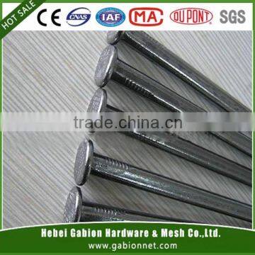 Common Wrie Nail Common Iron Nail(Professional Manufacture )