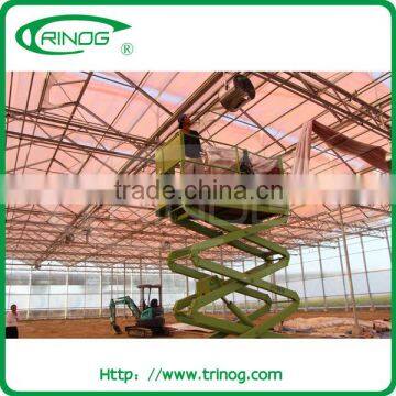 Buy greenhouse for flower farm