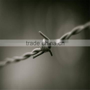 Barbed Wire (Galvanized and PVC Coated)