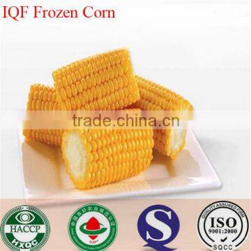 Iqf Frozen Cobs Kernels Cuts Sweet Corn