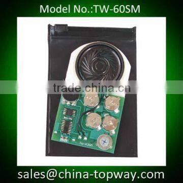 Electronic Music Module for Greeting Cards Quality Choice Supplier's Choice photo-2