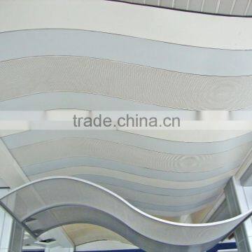 Aluminum lath ceiling panel/special decoration ceiling