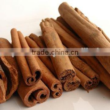 Pure Cinnamon Oil On Best Price From Borg Export