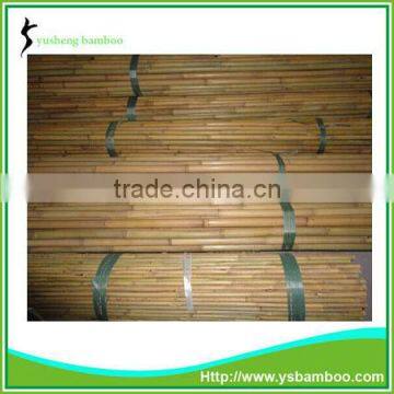 Bamboo poles for garden plant