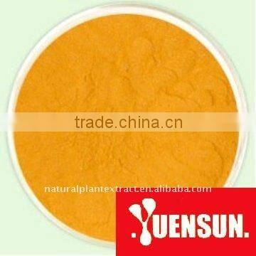 Curcumin 95% 98% by HPLC
