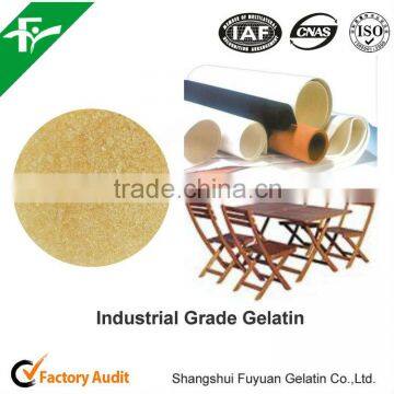 2016 the Hot Selling Industrial Gelatin Powder in Packing,Woodworking Usage