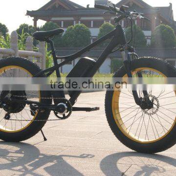 48V 750W fat tire electric bike /import electric bikes from china