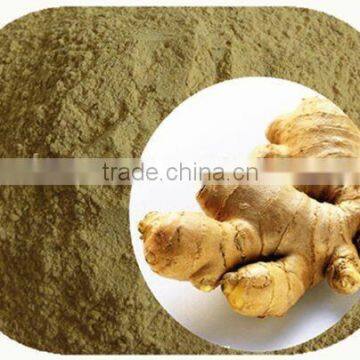 Premium Quality Organic Dry Ginger Powder For OEM