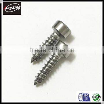Stainless Steel Hex Socket Cap Head Self Tapping Screw