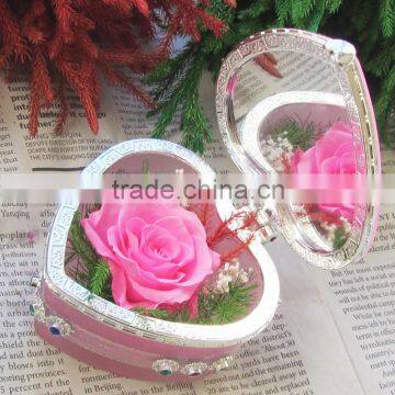 2016 Yiwu Aimee Wholesale Valentine's Day Gift Import Preserved Fresh Cut Flower(AM-PF04) photo-4