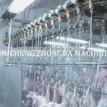 full Chicken slaughter house machine Line FOR Big Slaughterhouse