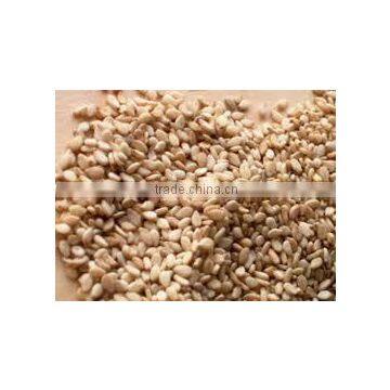 Premium Quality Sesame Seeds - Indian Origin