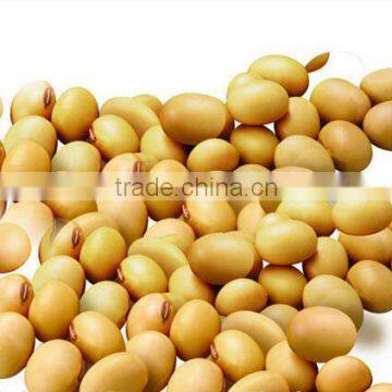 soy beans soybean wholesale for different market soy beans