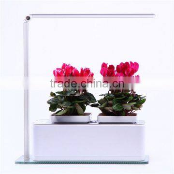 New style tow bulb flower rattan glass table lamp