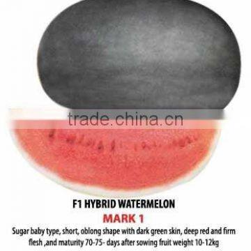 Mark 1 Hybrid Watermelon Seeds