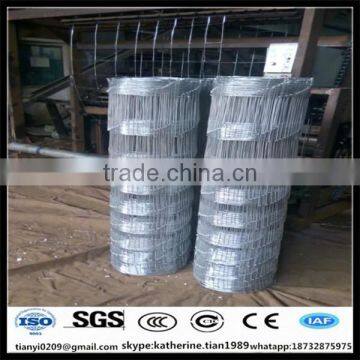 50m per roll high joint field fence wire mesh