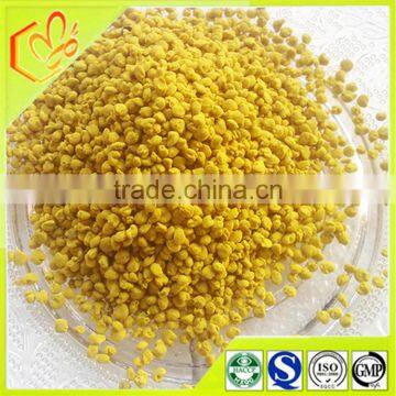 Great majority of rape bee pollen with protecting liver and detox for growing in Qinghai