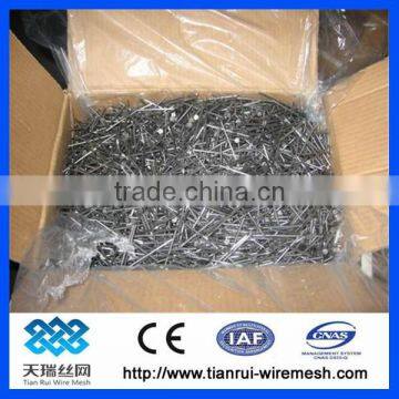 Common Nail/polished Nail/galvanized Nail photo-6