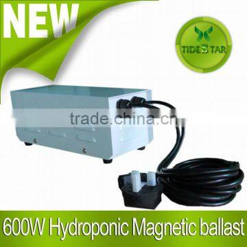 Hydroponic Magnetic Ballast 600W for Indoor Plant Growth photo-2
