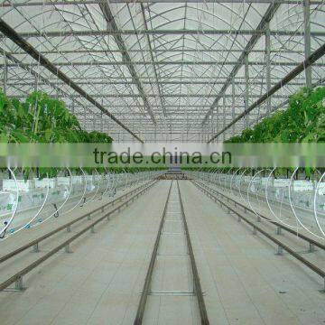 Green Houses for Agriculture Multi Span Greenhouses photo-2
