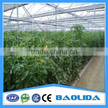 Factory Price UV Coating Plastic Polycarbonate Greenhouse