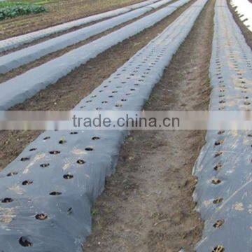 Black Agricultural Mulch Film for Weed Control photo-4