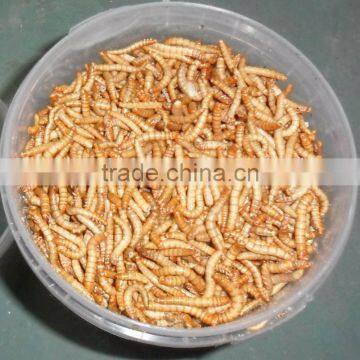 Pet Food 2.8 cm High Protein Tenebrio Molitor;Dried Tenebrio Molitor photo-2