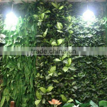 SJ 2013 hot sale high quality artificial plant walls