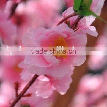 Blooming Tree Top Quality Factory Indoor Decoration Artificial Peach Tree photo-3