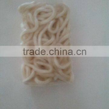 Sanuki Frozen Udon Noodle photo-3