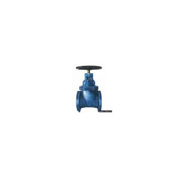 Cast Iron Resilient Seat Gate Valve