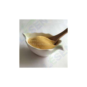 Passion Fruit Powder