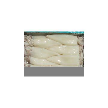 Sell Squid T&T