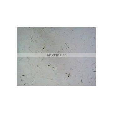 Banana Fibre Plant Handmade Papers
