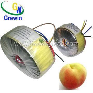 With ISO9001: 2015 High Efficiency Audio Toroidal Transformer for Audio Device Transformer photo-4