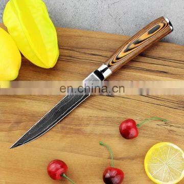 Factory Customized Multipurpose 67Layer Damascus Boning Knife