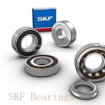 SKF Bearings