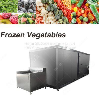 High Quality Fish Frozen Machinery Suppliers/Frozen Fish Fillets/Freezer Machine Price photo-3