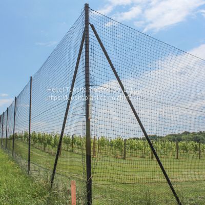 Wholesale Orchard Protective Anti Bird Netting- Pond Netting