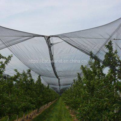 100% Virgin Material and Mould Plastic Anti Hail Net photo-4