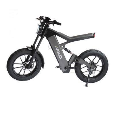 iVelo New Arrival Fat Tire 20 inch 1000W Ebike 48V 13AH Long Range Electric Dirt Bike City Bicycle