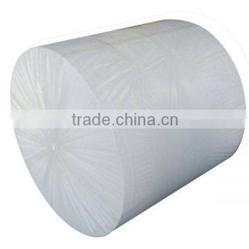 Ruihua 160-220g polyester mat used for APP/SBS waterproof materials