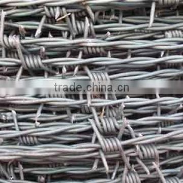 16 x 16 Gauge Galvanized Barbed Wire Manufacturing