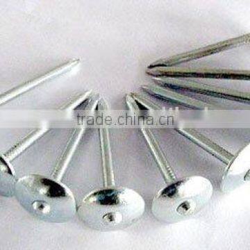 umbrella head roofing nails