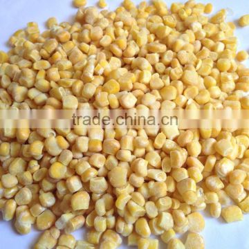 IQF Frozen super sweet sweet corn kernel size 8-11mm