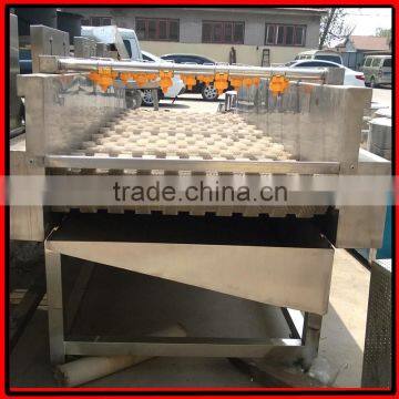 Automatic Brush Date Cleaning Machine|Ginger Washer and Cleaner Machine photo-3