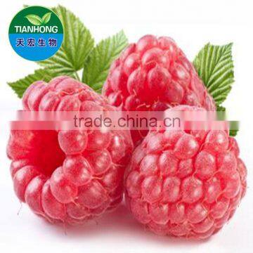 High Quality Raspberry ketone / Raspberry Extract