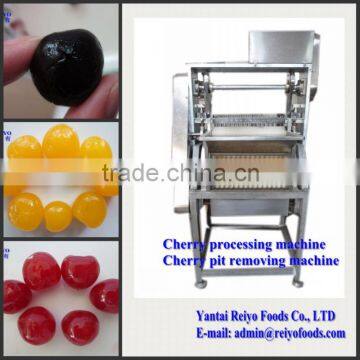 cherry seed removing machine / cherry pitting machine