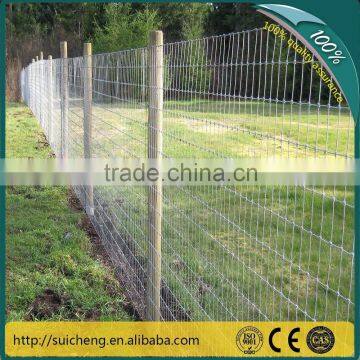 Guangzhou Factory Free Sample electric fence for cattle grassland fence cow farm fence